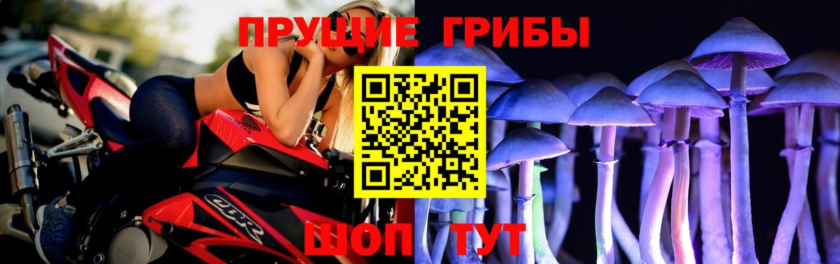 Гулькевичи  Галлюциногенные грибы Magic Shrooms  купить  сайты  Вход с VPN 